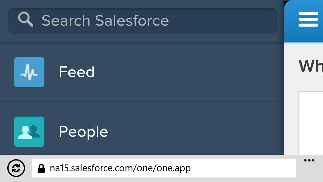 Example URL for Salesforce1 on Windows Phone: yourorg/one/one.app